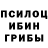 Галлюциногенные грибы мицелий Astra Kenjebaeva
